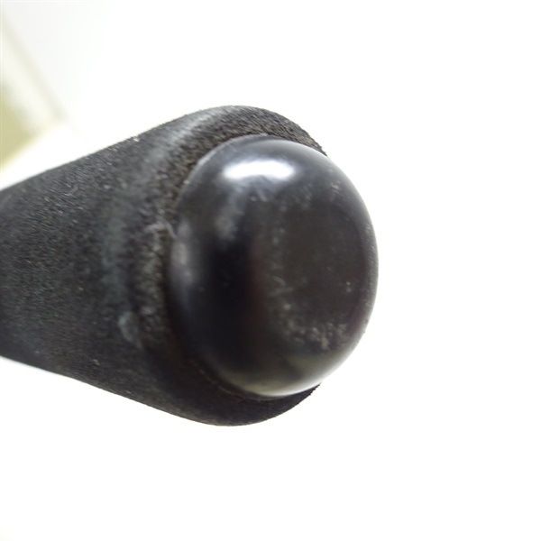 ＰＬＴＡＺＡＲ ＰＲＯ ＣＡＲＰ１２．２